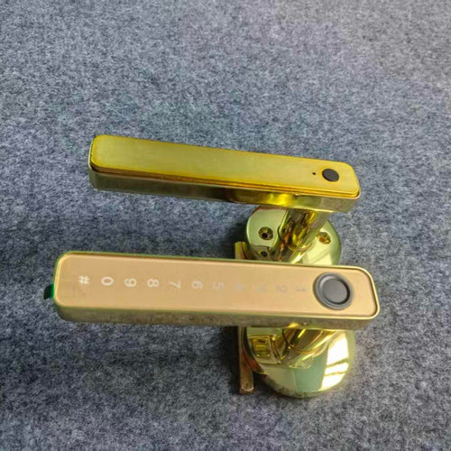 881297668-1